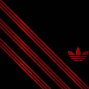 Meet your Posher, Jeremy